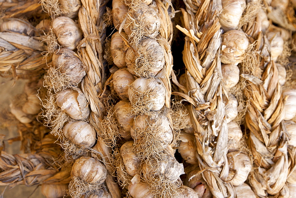 Garlic plaits, Allium sativum, on sale in food market in Pienza, Tuscany, Italy