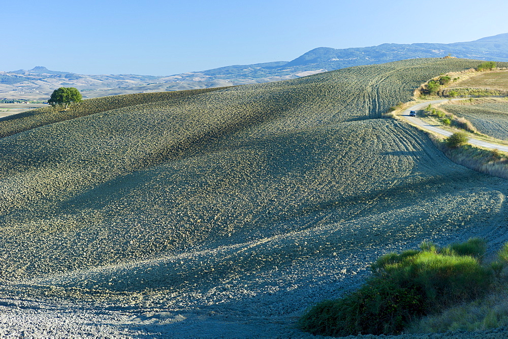 Undulating hills by San Quirico d'Orcia, in the Val D'Orcia area of Tuscany, Italy