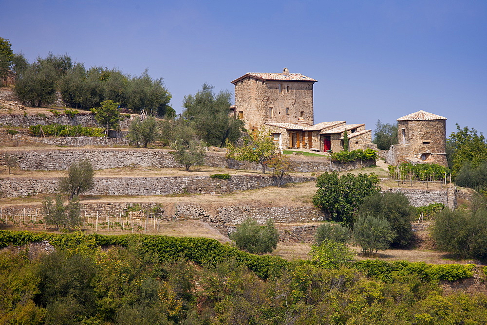 Ancient Tuscan architecture of podere farmhouse near Montalcino in Val D'Orcia, Tuscany, Italy