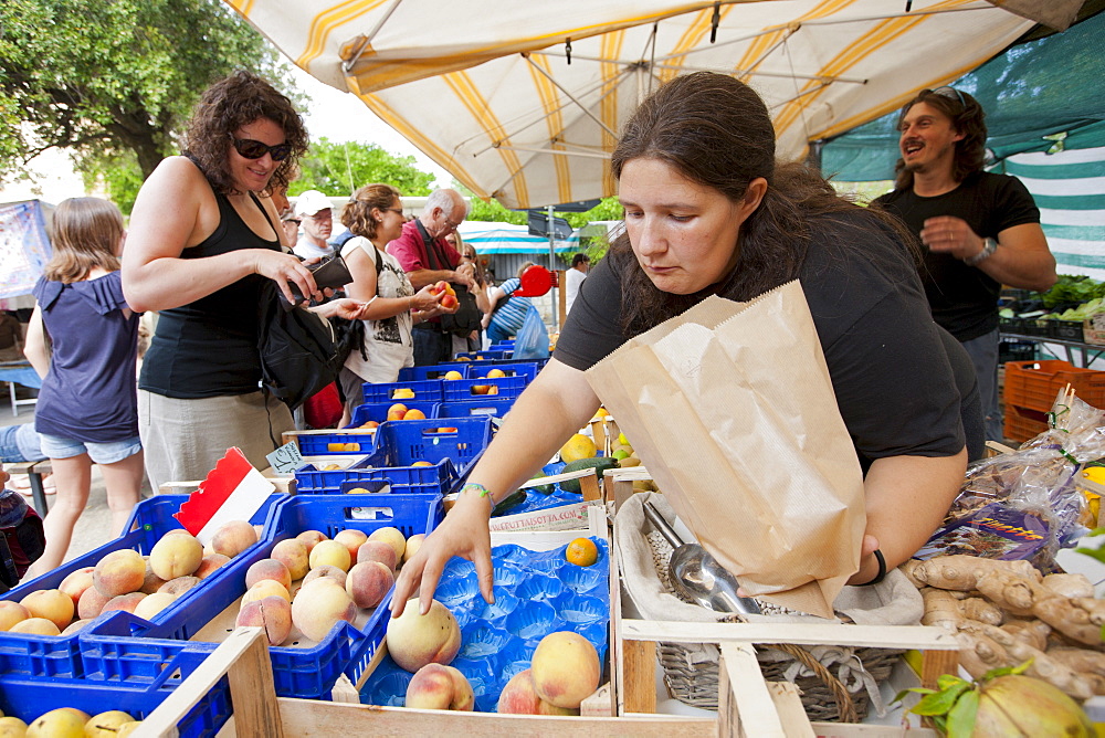 Woman selling fresh fruit at weekly street market in Panzano-in-Chianti, Tuscany, Italy