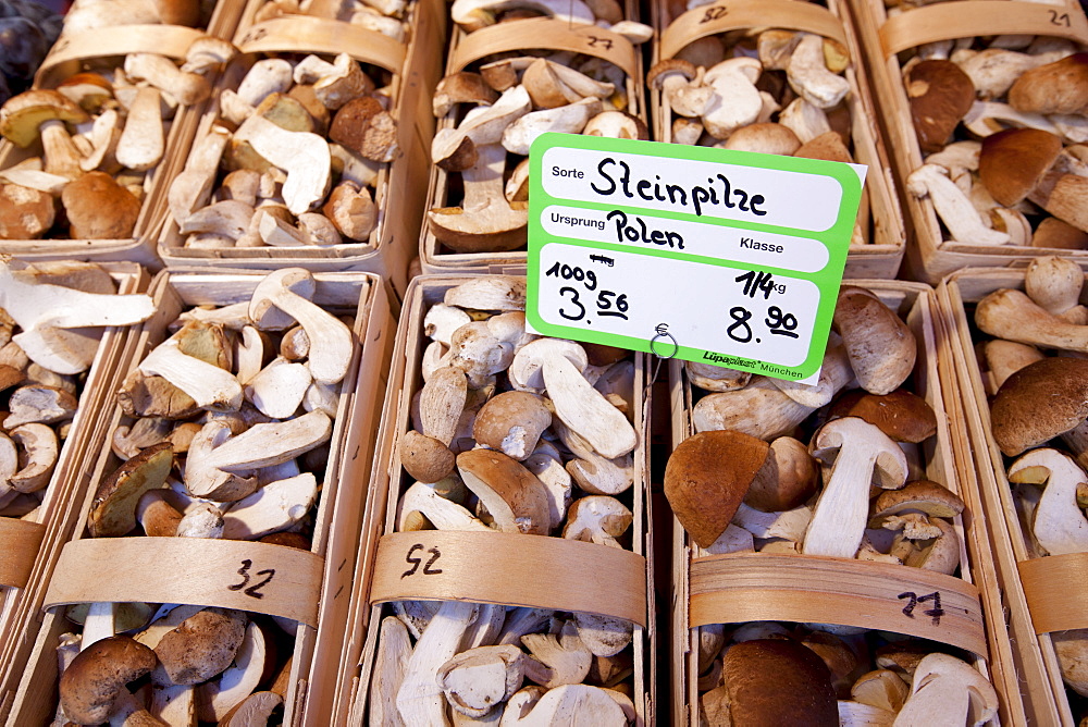 Mushrooms on sale at Viktualienmarkt food market in Munich, Bavaria, Germany