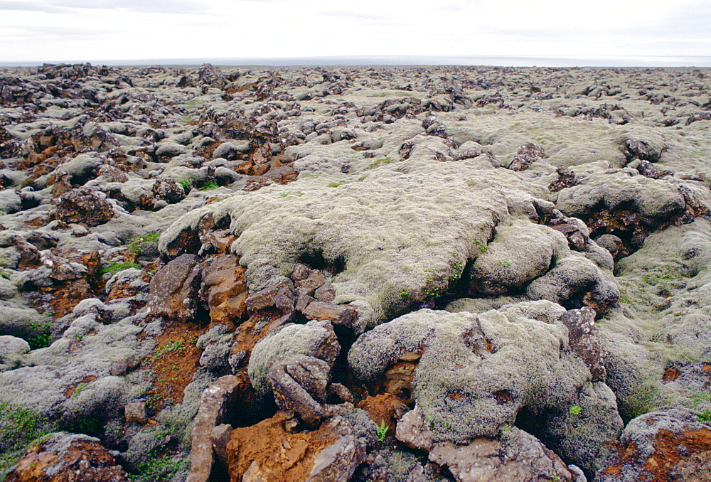 Lava fields, Iceland