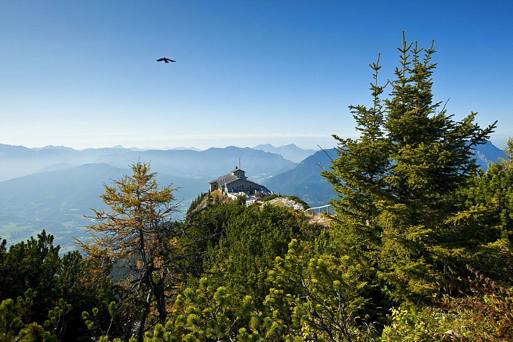 Crow flying over Eagle's Nest, Kehlsteinhaus, Hitler's lair at Berchtesgaden in the Bavarian Alps, Germany