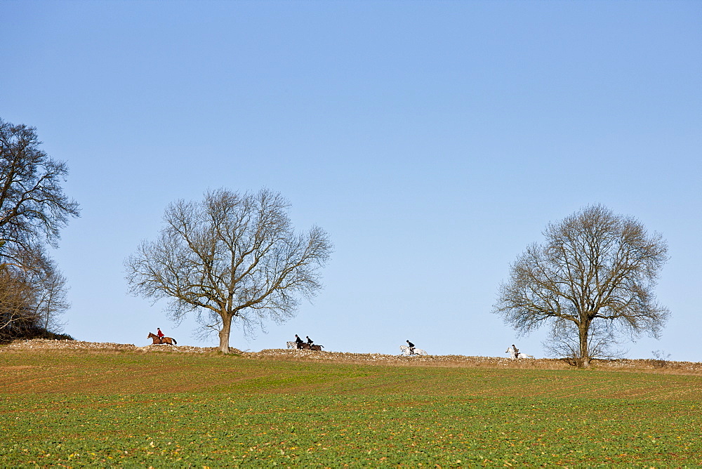 The Heythrop Hunt near Stow-on-the-Wold, Gloucestershire for the traditional New Year's Day Hunt Meet, The Cotswolds, UK