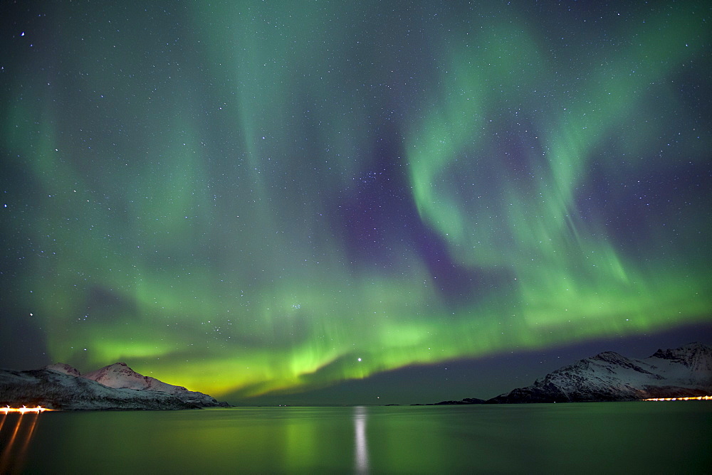 Aurora Borealis spectacular Northern Lights green and purple curtain effect and Venus star at Grotfjord, Kvaloya island, Tromso, Arctic Circle, Northern Norway