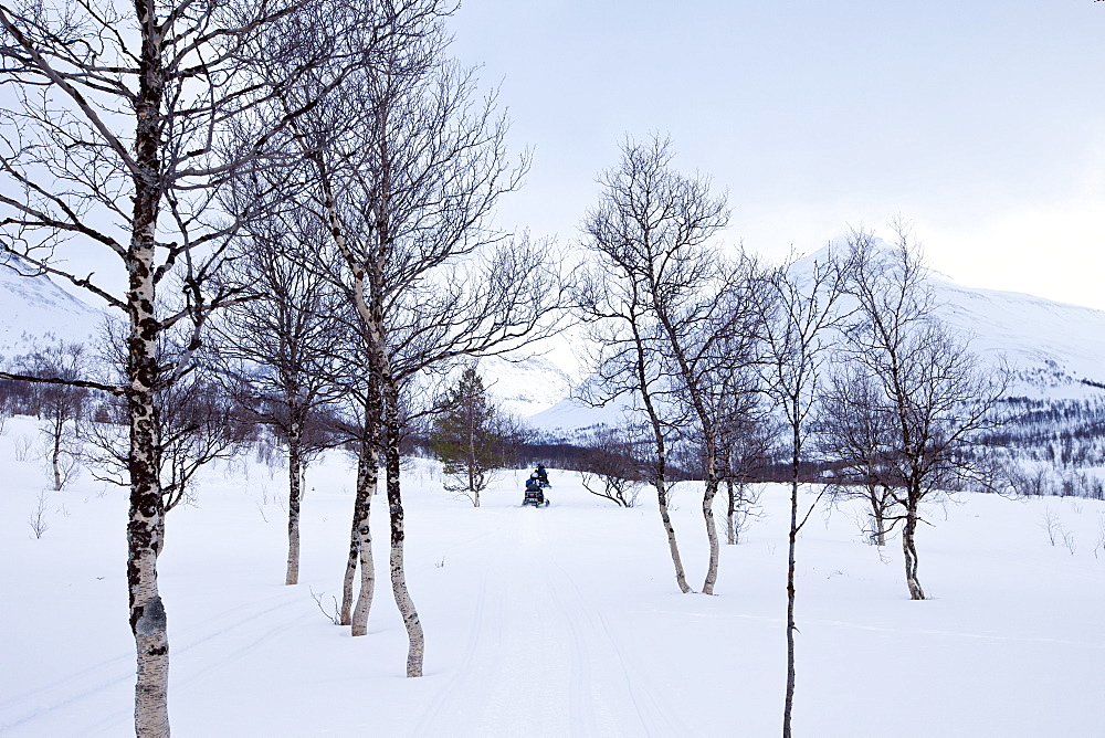 Snowmobiling in the arctic alps in the Arctic Circle near Holt in the region of Tromso, Northern Norway