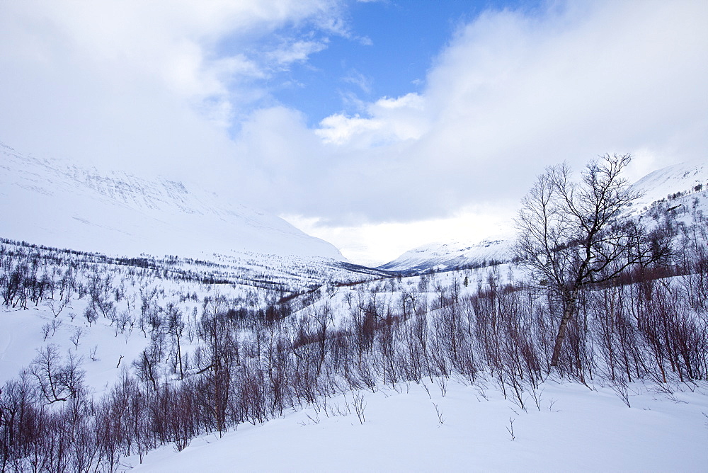 Arctic wilderness in Ovre Dividal National Park in the Arctic Circle region of Tromso, Northern Norway