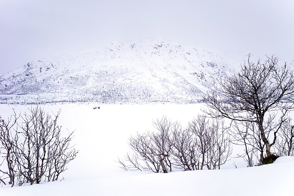 Ice fishing on frozen lake in the arctic alps in the Arctic Circle on Ringvassoya Island in the region of Tromso, Northern Norway