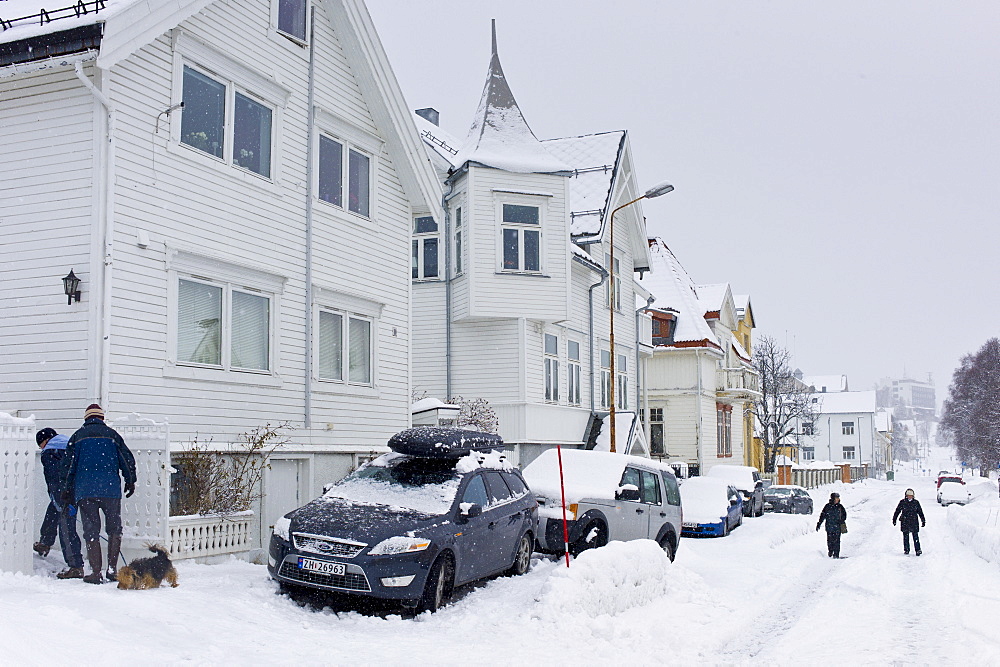 Street scene of couple walking their dog in Tromsoya, Tromso,  Arctic Circle in Northern Norway