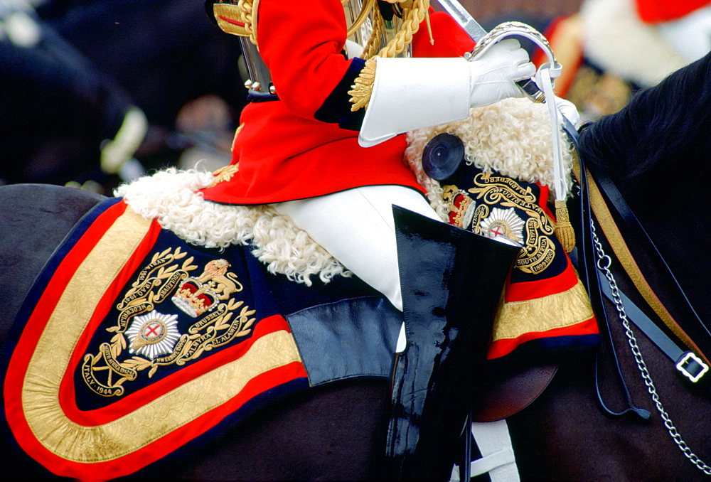 Close up detail of the uniform and tack of a mounted guardsman of the Lifeguards at the Trooping the Colour ceremony, London