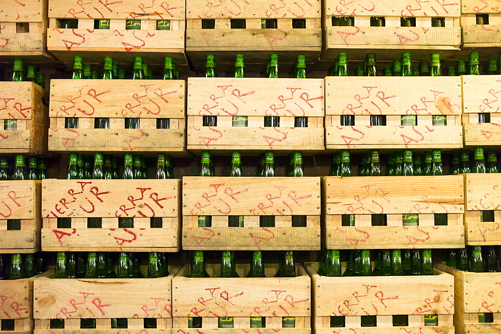 Asturian sidra (cider), regional speciality at Sidreria in Calle San Francisco in Aviles, Asturias, Northern Spain