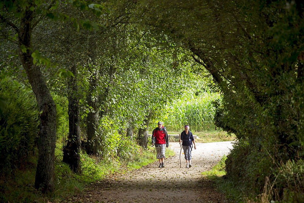 Pilgrim couple on the Camino de Santiago PIlgrim's Way to Santiago de Compostela in Galicia, Spain