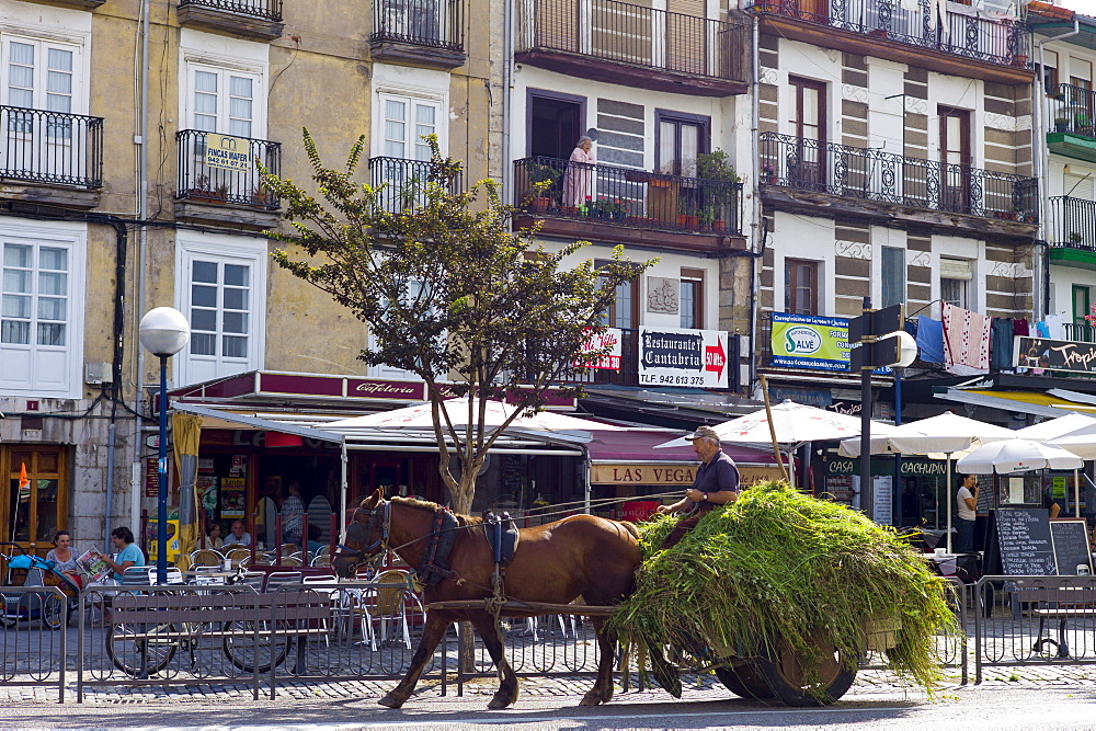 Farmer drives horse and cart full of hay through Laredo, Cantabria, Spain