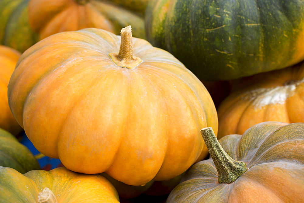 Pumpkin, Musquee de Provence, and squash for sale at roadside stall in Pays de La Loire, France