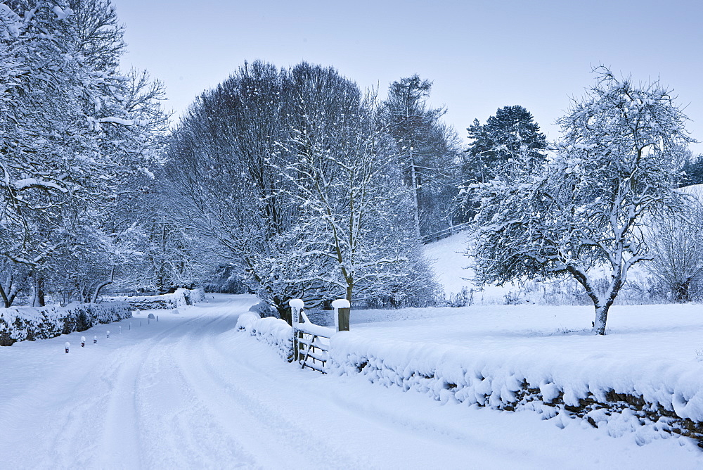 Traditional snow scene in a country lane in The Cotswolds, Swinbrook, Oxfordshire, United Kingdom