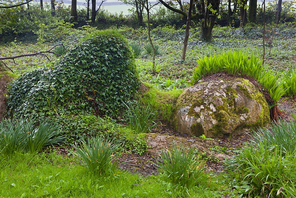 Mud Maid earth woman sculpture of stone and plants at the Lost Gardens of Heligan tourist attraction, Cornwall, England