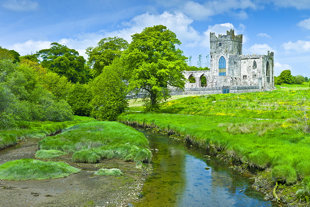 Tintern Abbey 12th Century, formerly a Cistercian Abbey, in County Wexford built by Earl of Pembroke in 1200, Ireland