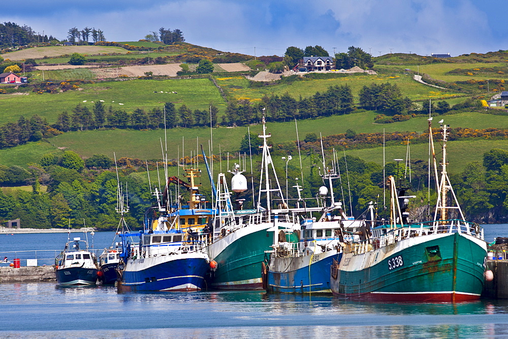 Fishing boats in harbour at Union Hall, County Cork, Ireland