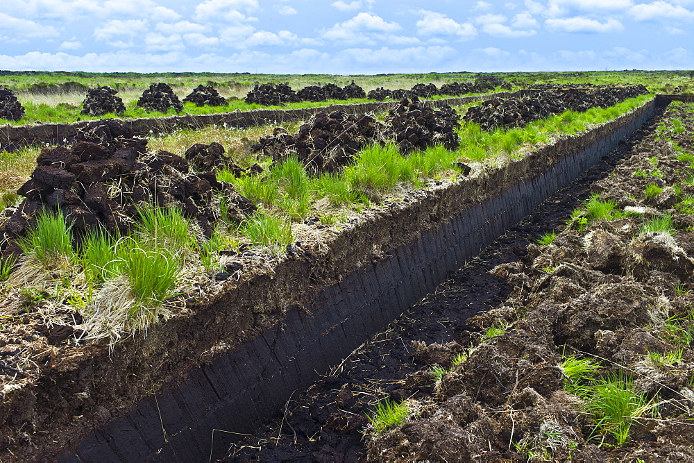 Turf bog shows cutting and stacks of peat (footings) at Mountrivers peat bog, County Clare, West of Ireland