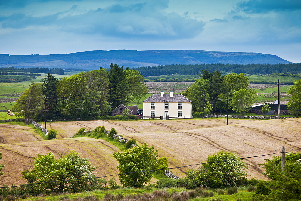 Traditional farmhouse in smallholding in County Clare, West of Ireland