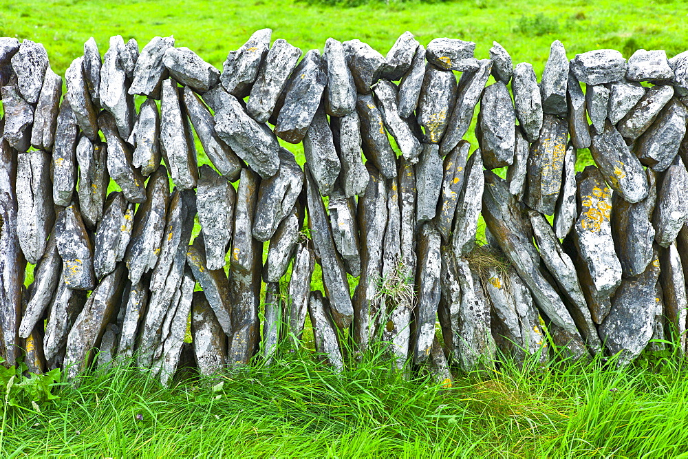 Traditional dry stone wall in meadow in The Burren, County Clare, West of Ireland