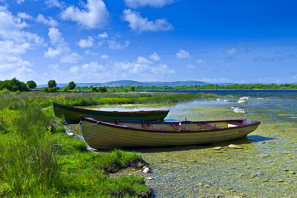 Boats among the reeds at Lough Muckanagh, County Clare, West of Ireland