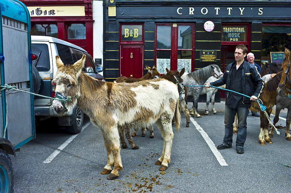 Horse fair in market square in Kilrush, Co. Clare, Ireland. Traditional for locals and travellers to trade horses and donkeys