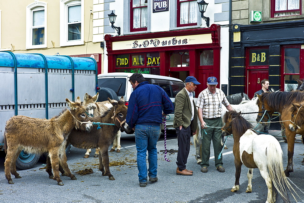 Horse fair in market square in Kilrush, Co. Clare, Ireland. Traditional for locals and travellers to trade horses and donkeys