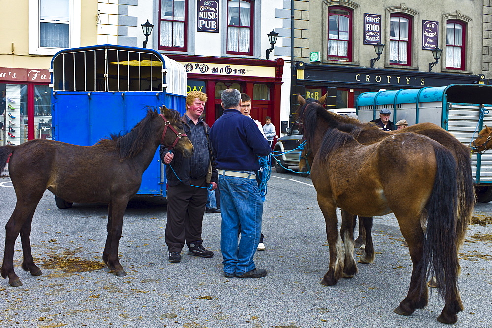 Horse fair in market square in Kilrush, Co. Clare, Ireland. Traditional for locals and travellers to trade horses and ponies