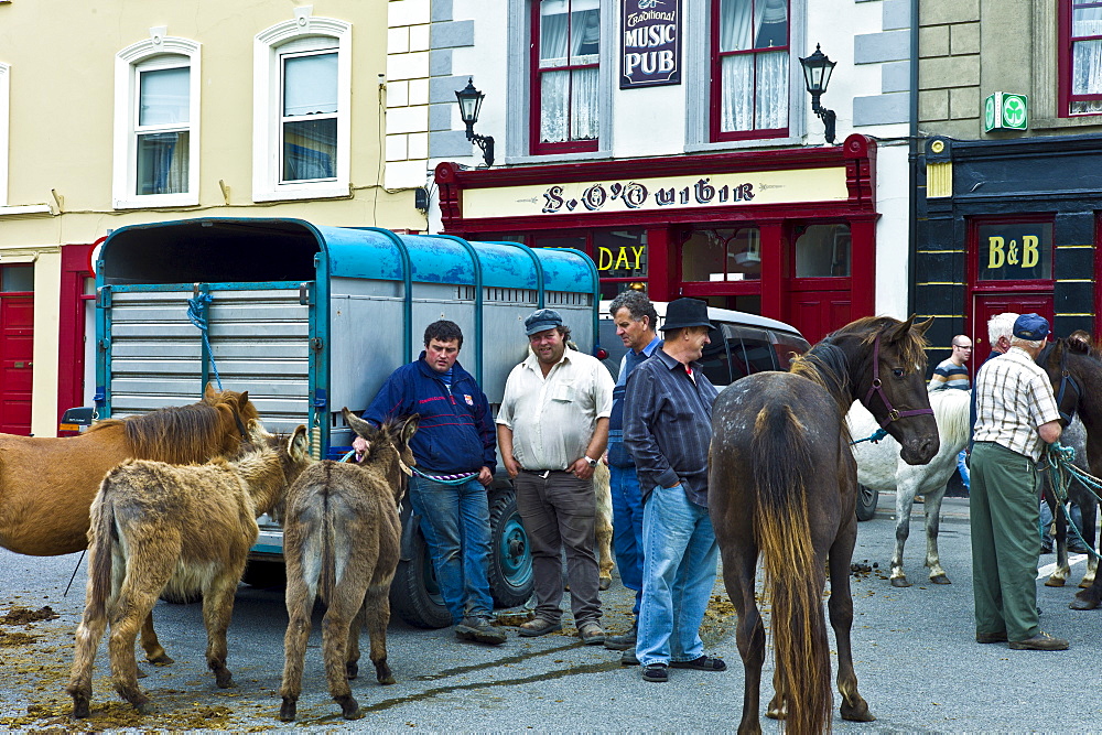 Horse fair in market square in Kilrush, Co. Clare, Ireland. Traditional for locals and travellers to trade horses and donkeys