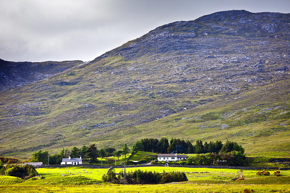 Homes nestling at the foot of the Maumturk Mountains near Recess, Connemara, County Galway, Ireland