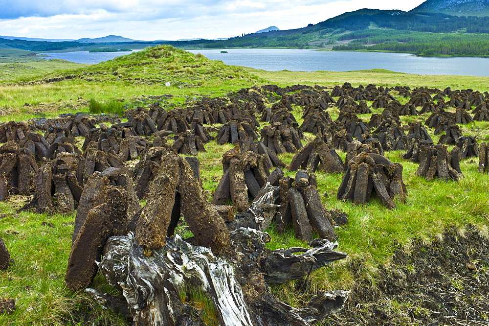 Stacks of turf, in process called footing, drying on peat bog, by Lough Inagh near Recess in Connemara, County Galway, Ireland