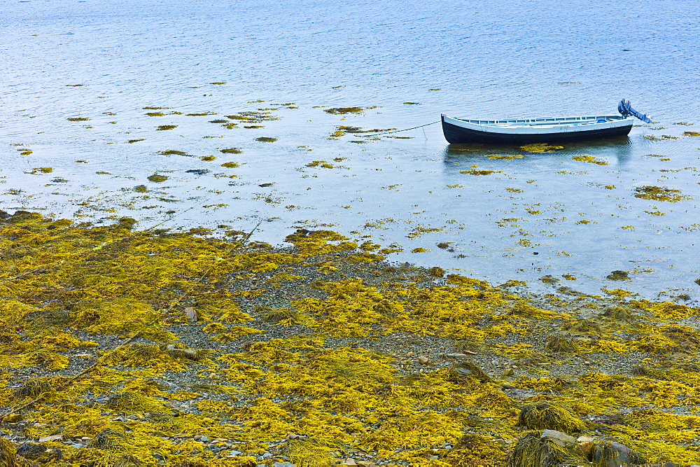 Curragh fishing boat at Fahy Pier near Cleggan, Connemara, County Galway, West Coast of Ireland