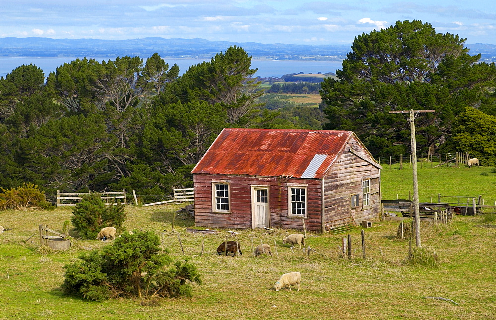 Traditional homestead with mailbox, North Island, New Zealand