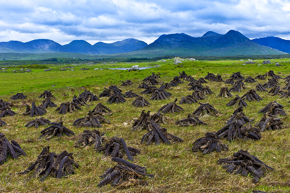 Stacked peat in turf bog on the Old Bog Road near Roundstone, Connemara, County Galway