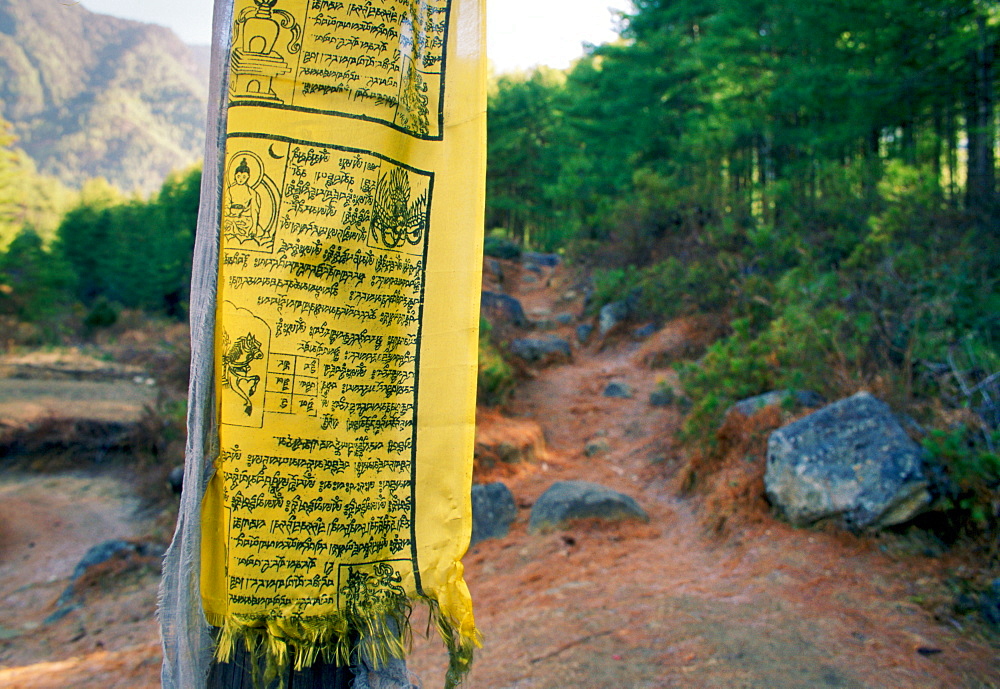 Buddhist prayer flag on mountain path to Tak Tsang Monaster, Bhutan