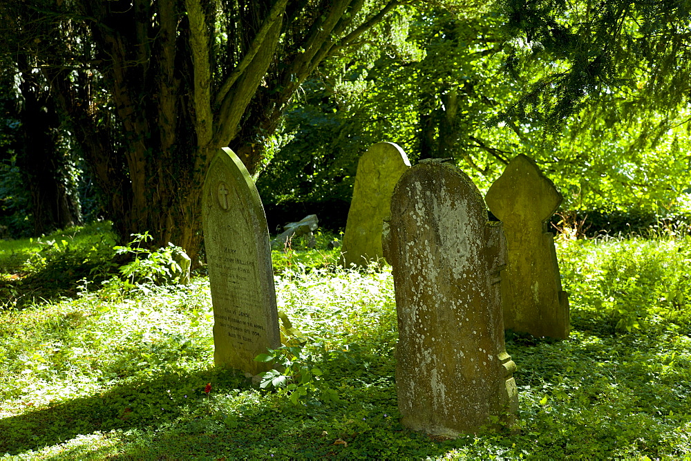 Graveyard in woodland setting at 11th Century St Nicholas Church, Oddington near Stow on the Wold, Gloucestershire