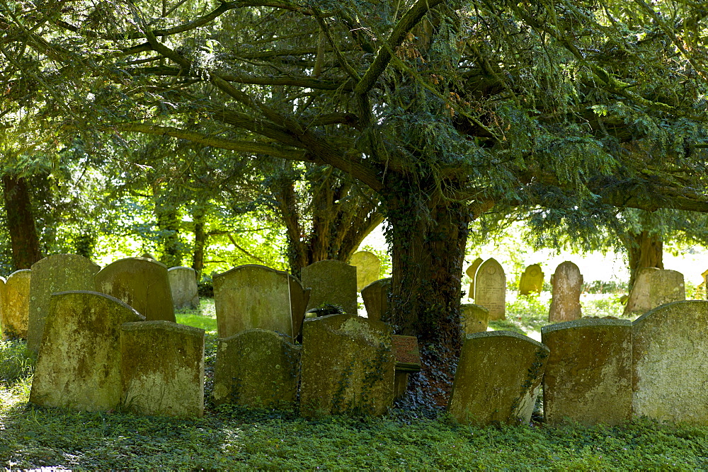 Graveyard in woodland setting at 11th Century St Nicholas Church, Oddington near Stow on the Wold, Gloucestershire