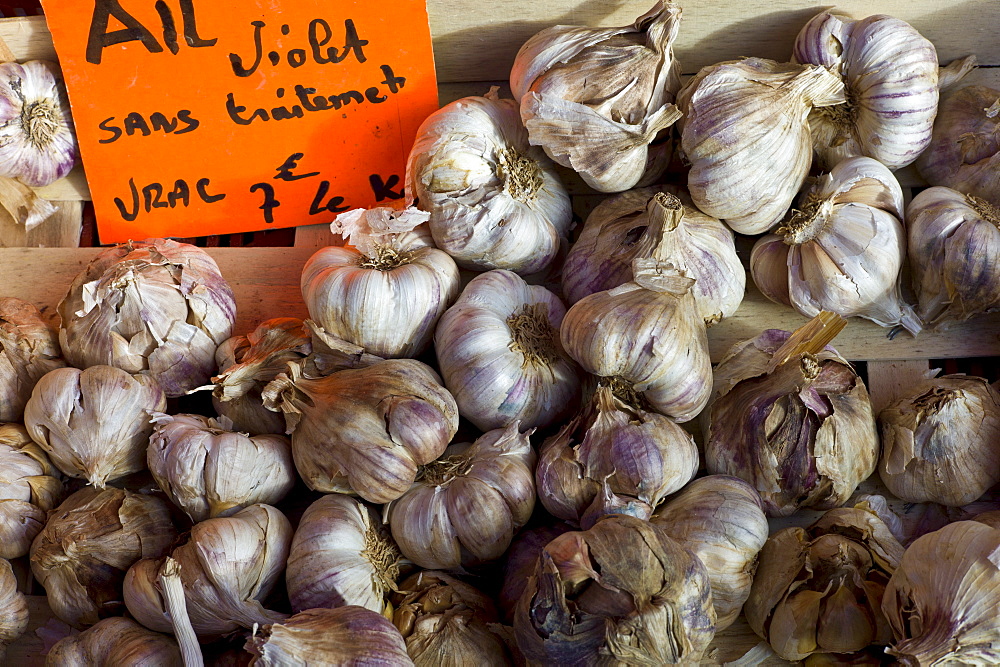 Fresh garlic violet ail, Allium sativum, at food market in Bordeaux region of France