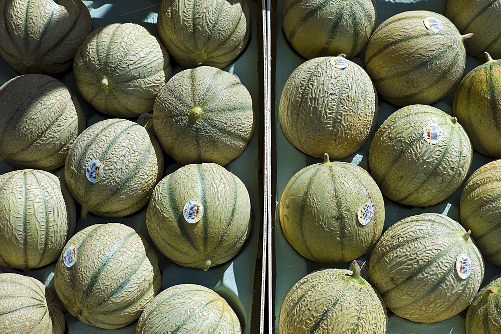 French Charentais melons on sale at food market at La Reole in Bordeaux region of France