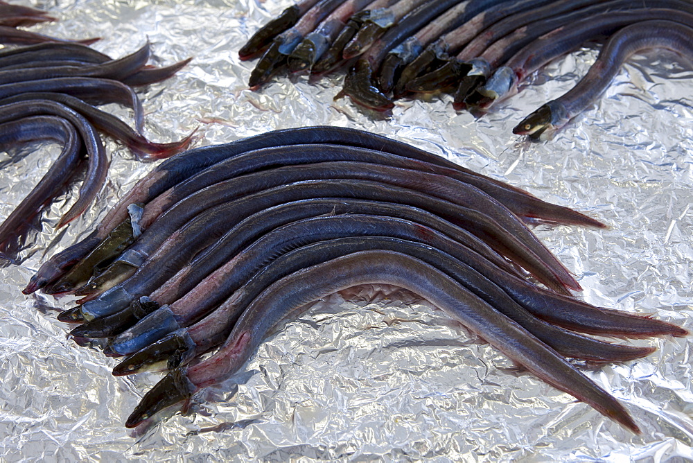 Freshly-caught eels, anguilles, on sale at food market at La Reole in Bordeaux region of France