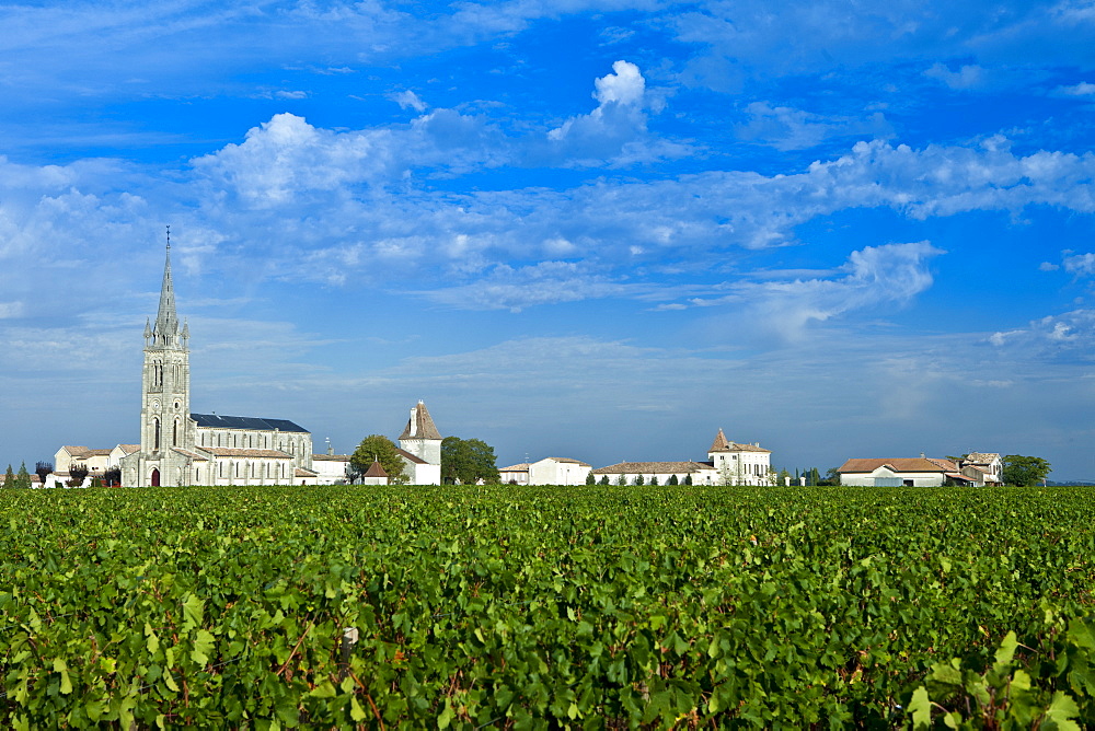 Vineyards and Church of St Jean at Pomerol in the Bordeaux wine region of France