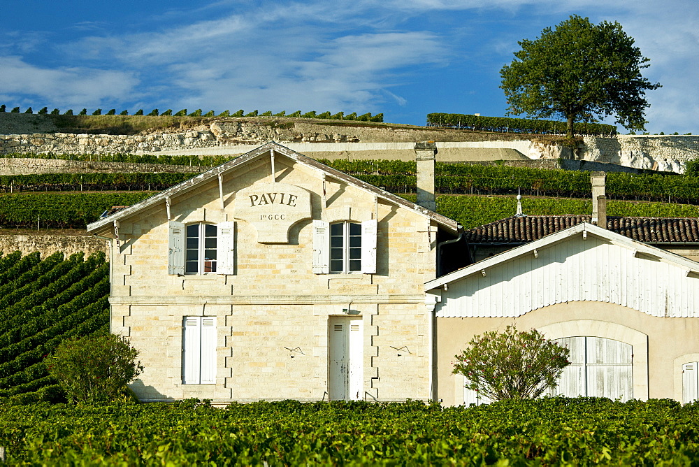 Chateau Pavie at St Emilion in the Bordeaux wine region of France