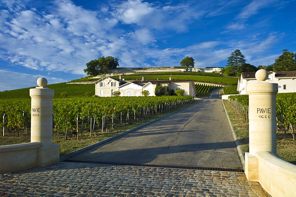 Chateau Pavie at St Emilion in the Bordeaux wine region of France