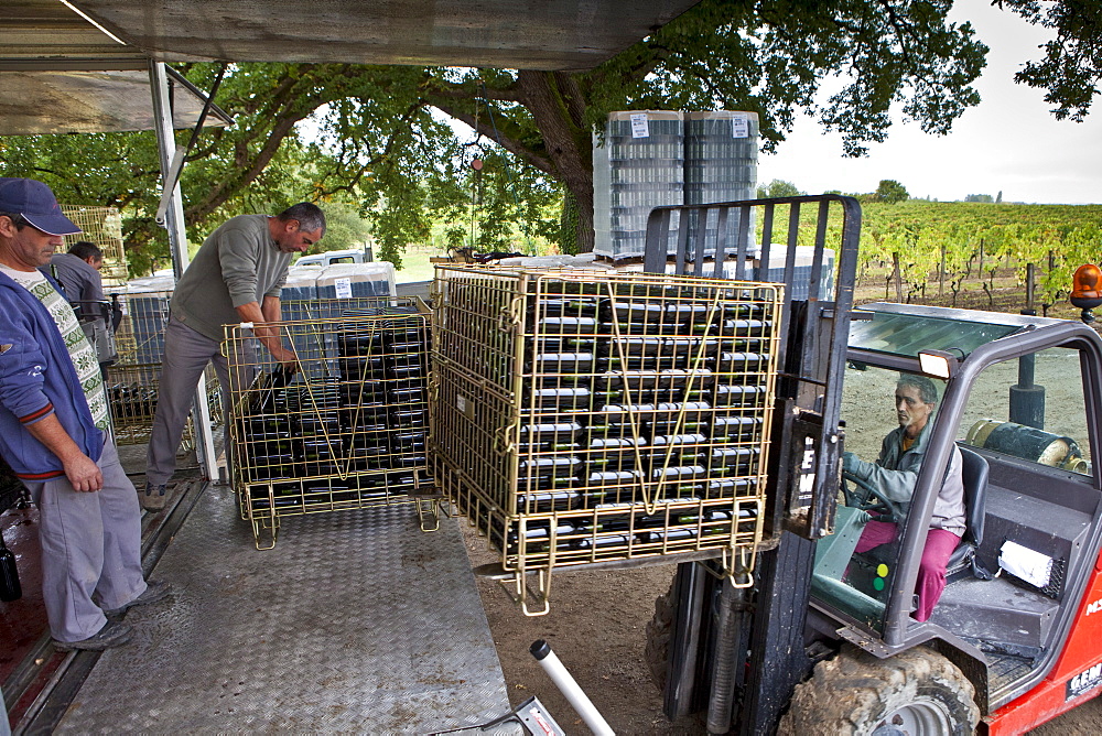 Wine bottling truck with mobile bottling line at Chateau Fontcaille Bellevue vineyard in Bordeaux region of France