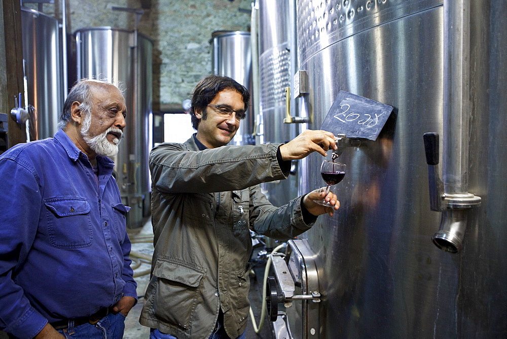 Oenologist tests the 2008 vintage watched by proprietor at Chateau Fontcaille Bellevue, Bordeaux wine region of France