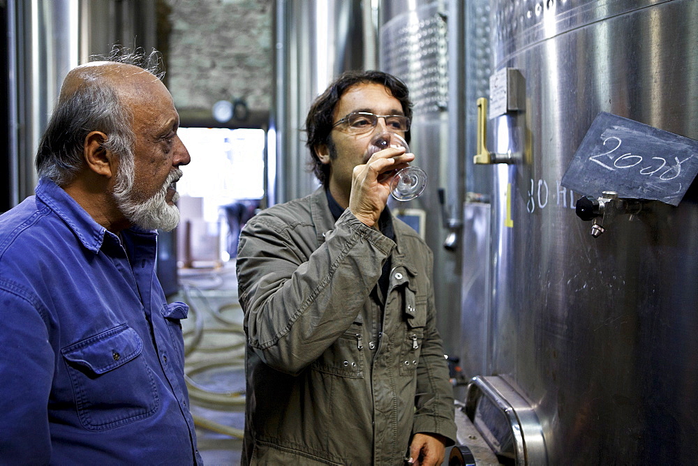 Oenologist tests the 2008 vintage watched by proprietor at Chateau Fontcaille Bellevue, Bordeaux wine region of France