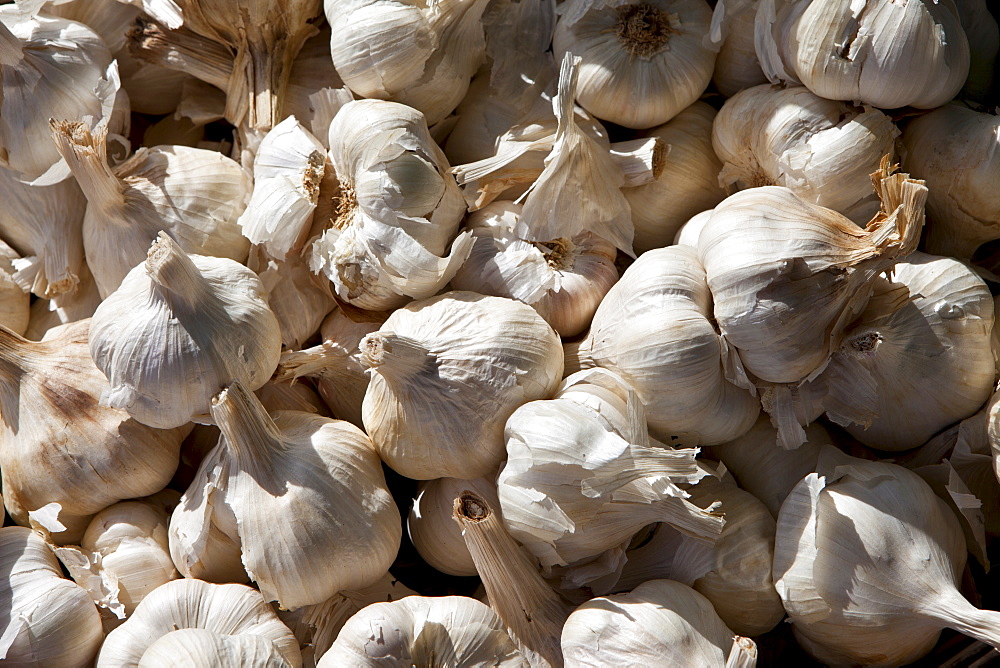 Freshly-picked garlic on sale at food market in Bordeaux region of France