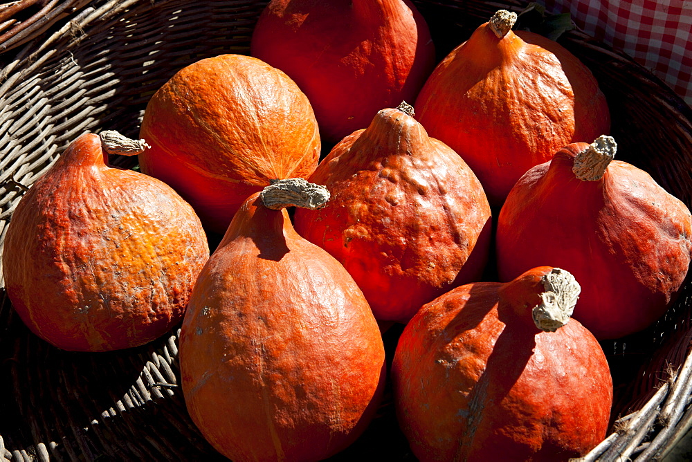 Fresh pumpkin, petit marron, on sale at food market at Sauveterre-de-Guyenne, Bordeaux, France