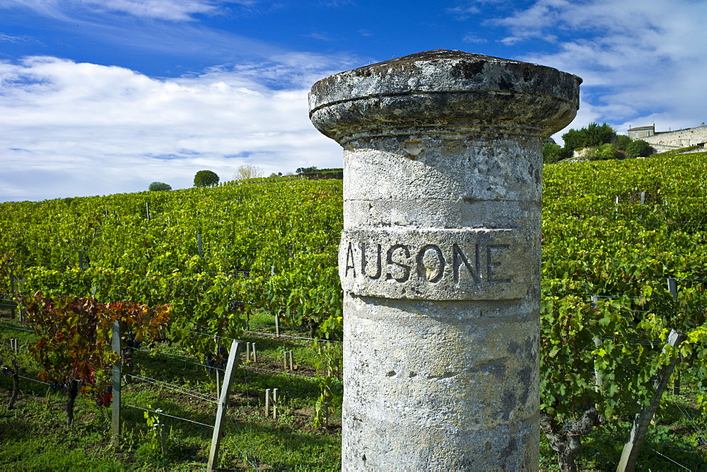 Chateau Ausone vineyard  in St Emilion in Bordeaux wine region of France